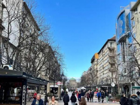Vitosha Blvd Spacious and Quiet Apartment
